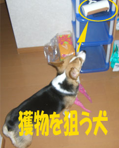 �M������